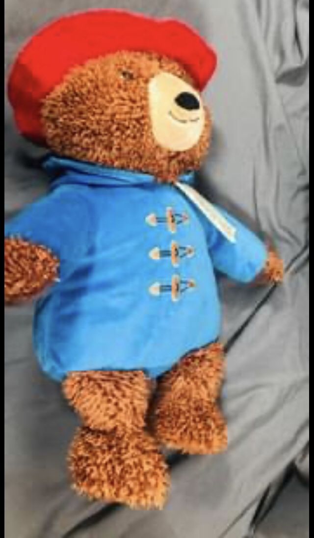 Paddington Bear Plush Toy New