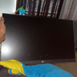 Hp Monitor 60 Fps 