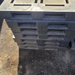 Plastic Pallets 