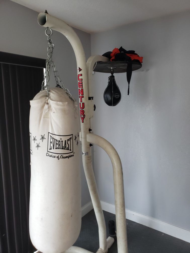 Century stand with punching bag and speed bag