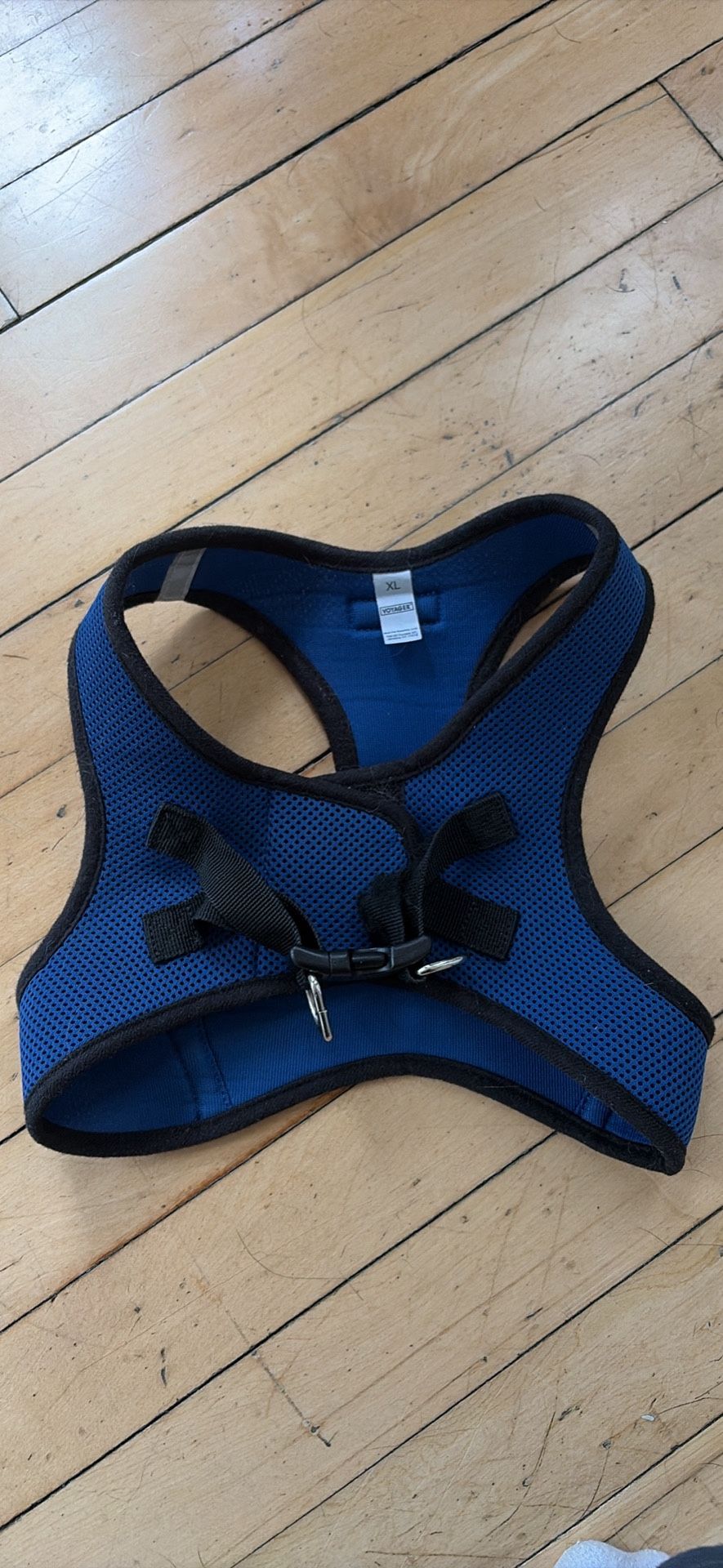 XL Voyager Blue Dog Harness