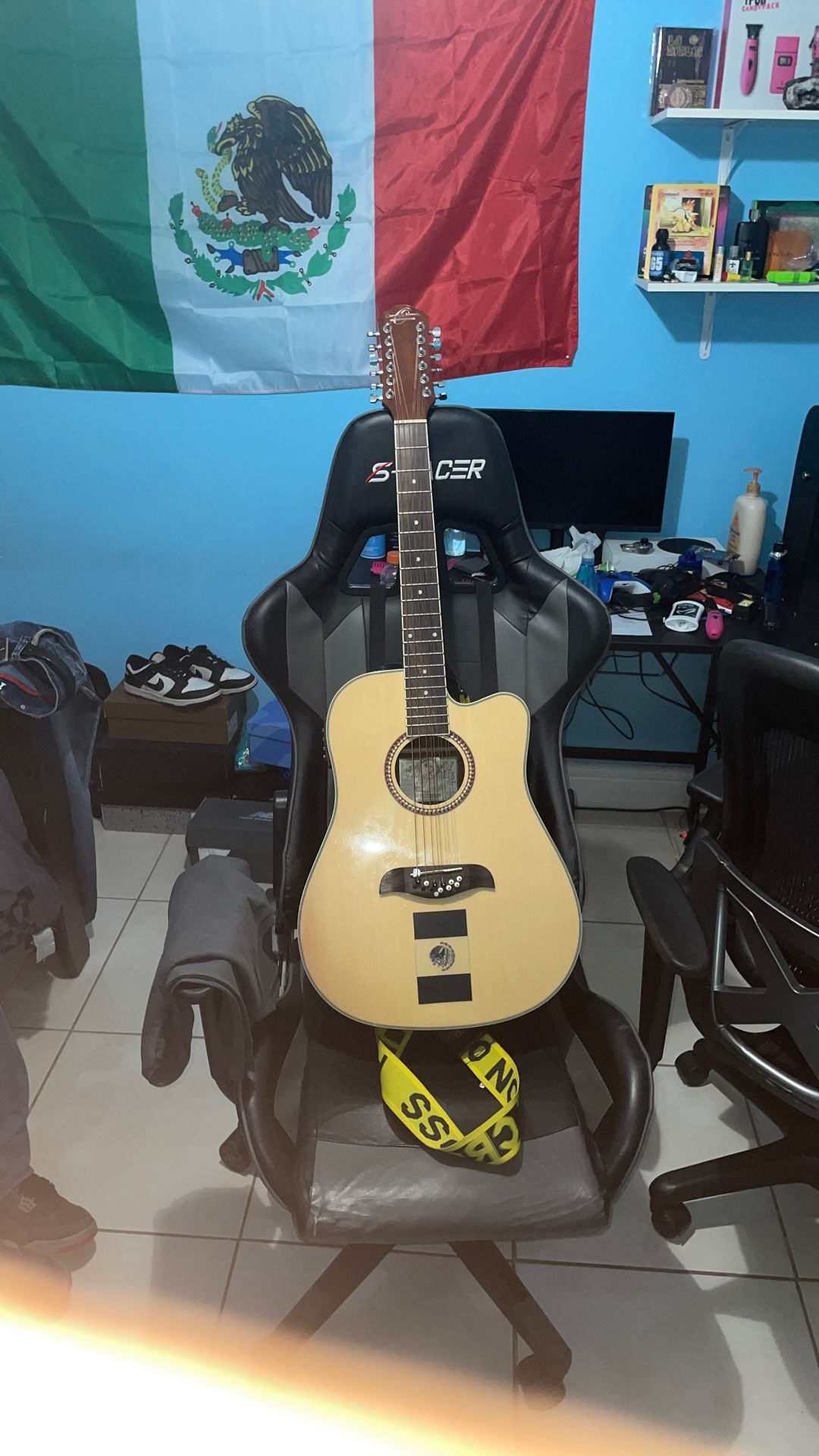 oscar schimidt 12 string