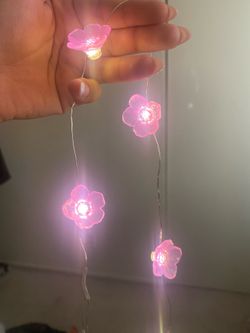 Pink Flower String Lights (9)