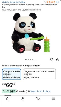 Panda