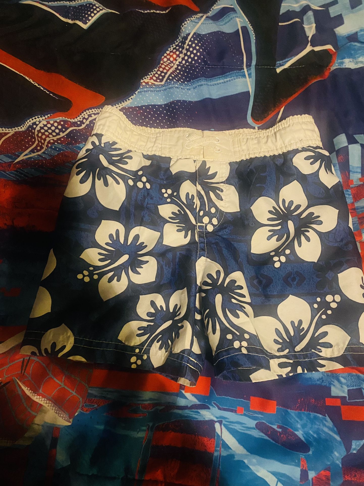 Swim Trunks 