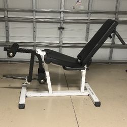 Leg Extension/Lying Leg Curl Combo