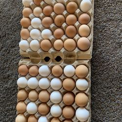 uevos orgánicos a $5 la dosena