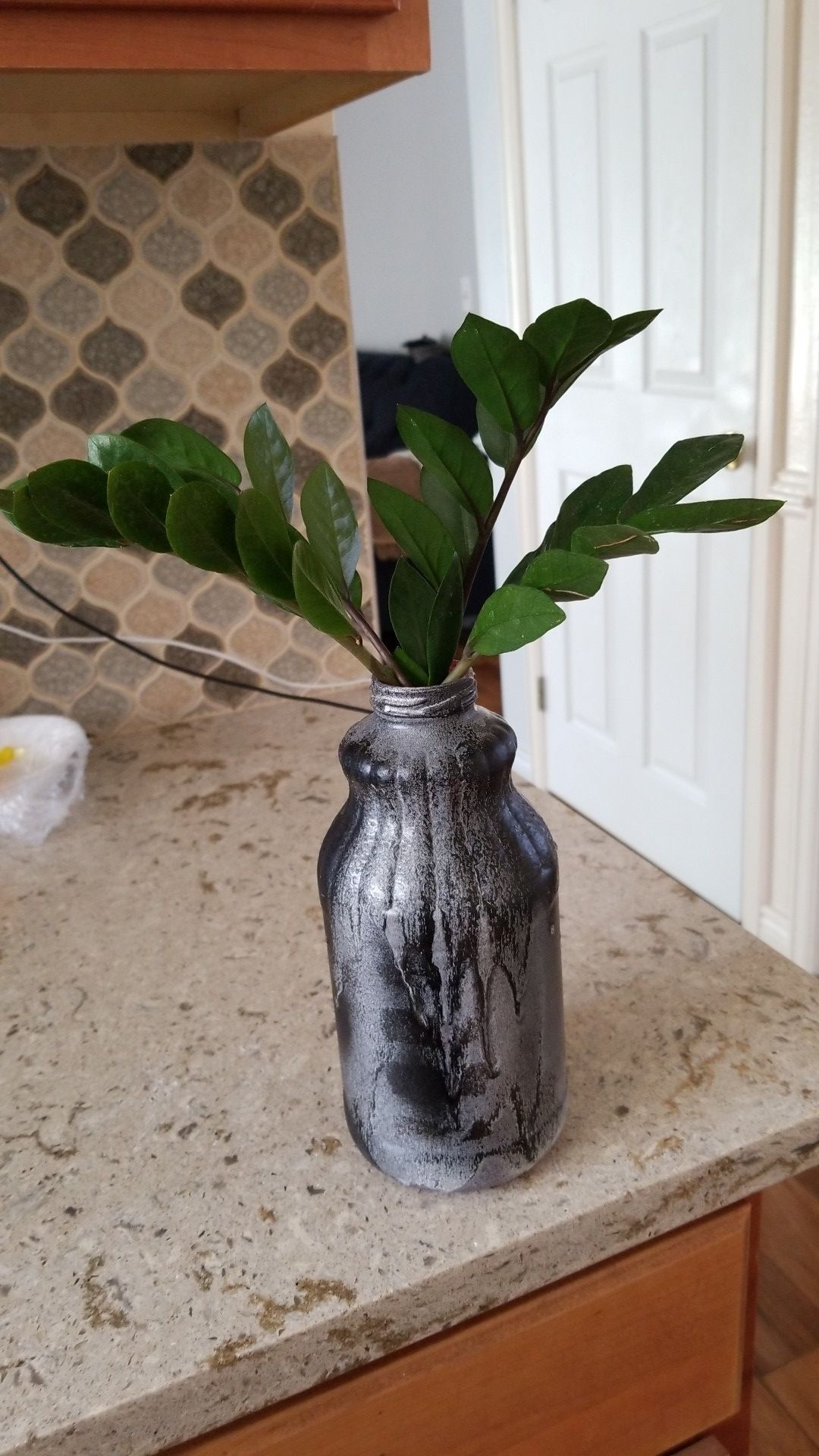 Zz plant the vase has water and the plant is grow roots so you can plant it.its a great gift and it $10