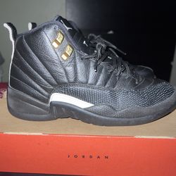 Jordan 12 Master