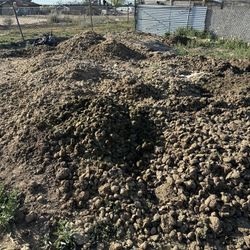 Fertilizer/ Horse Manure FREE