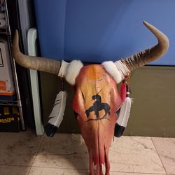 Steer skull