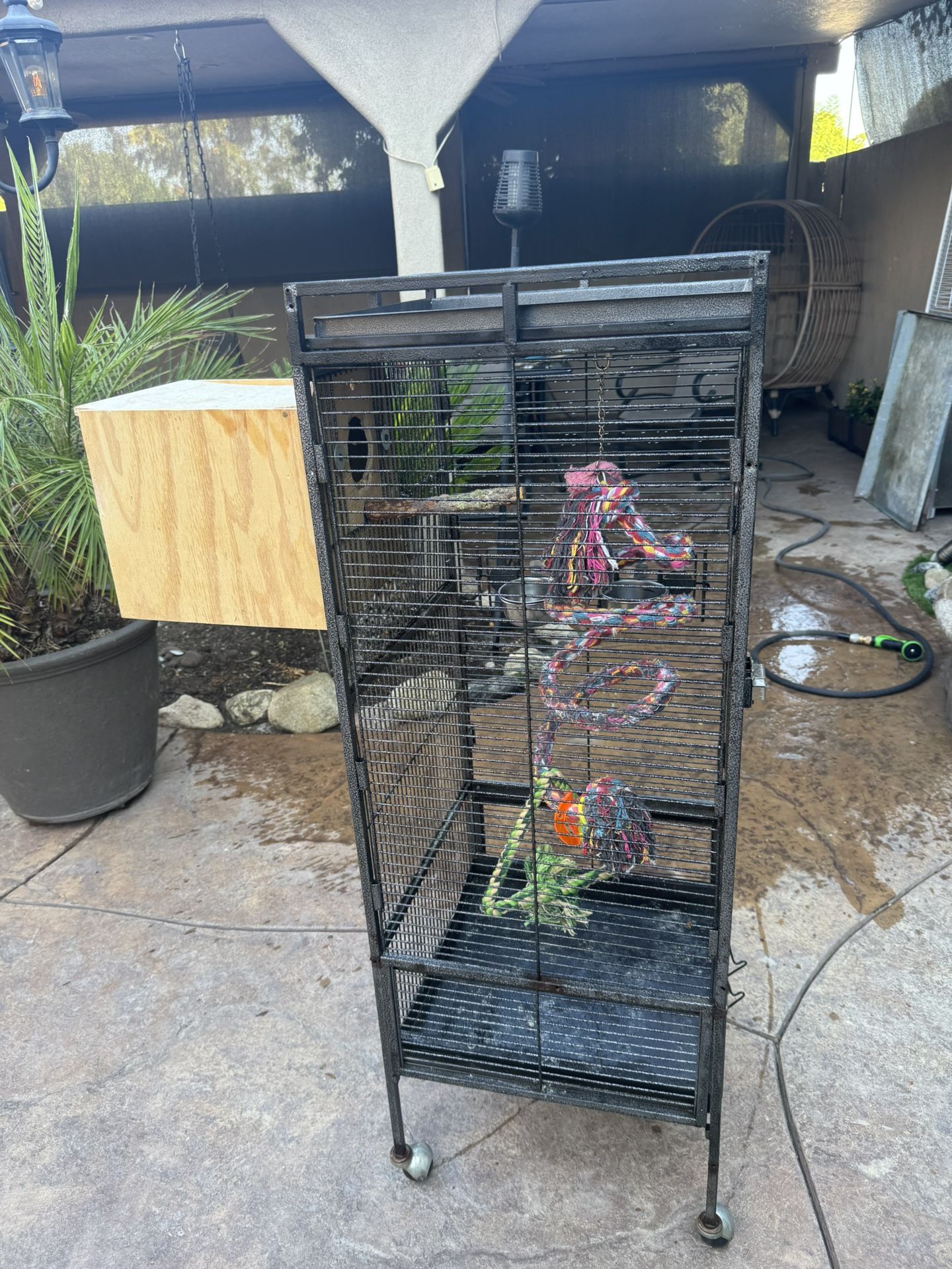 Bird Cage