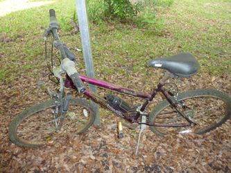 Roadmaster bike womens 2025