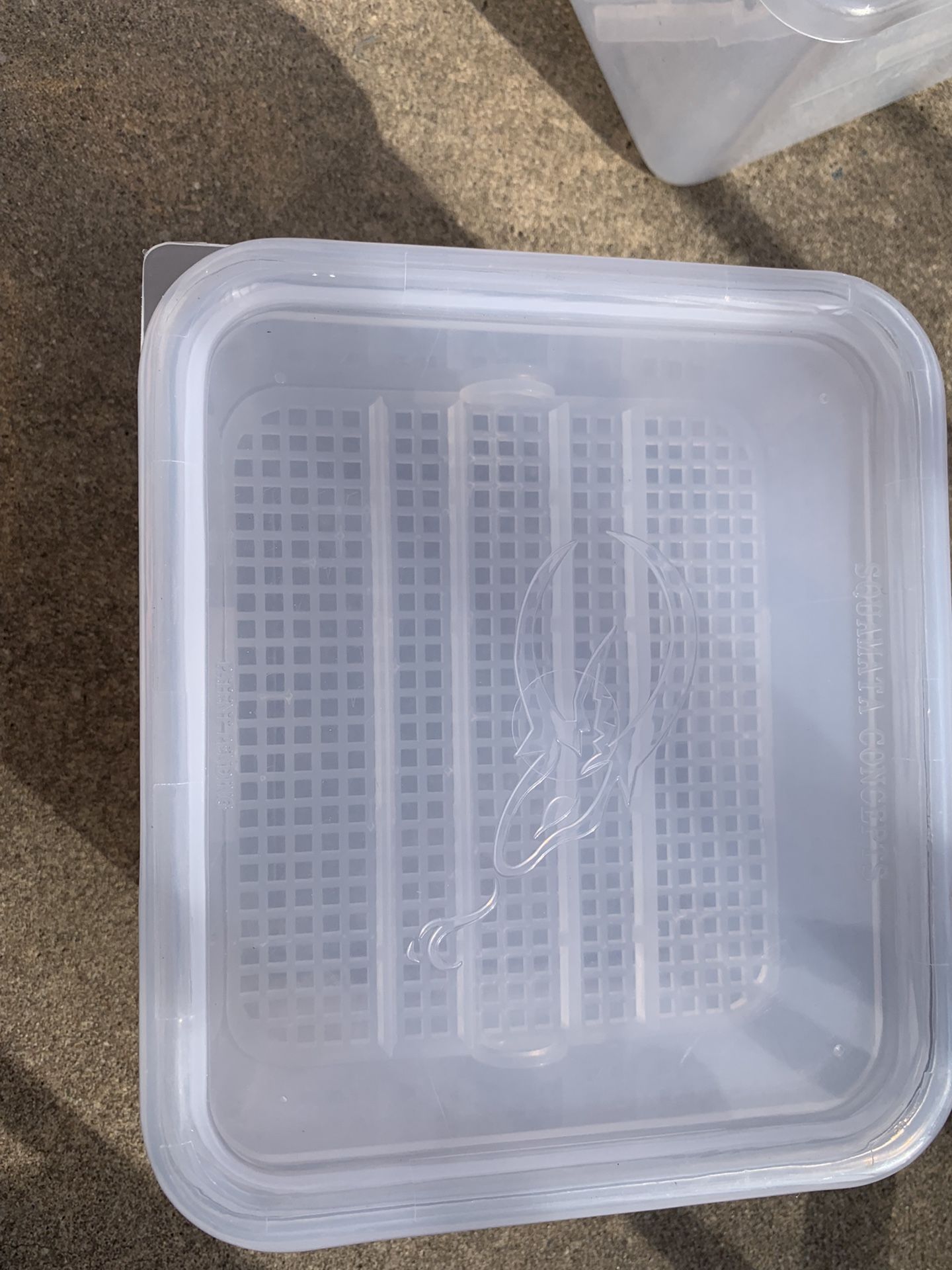 Reptile Incubation Containers