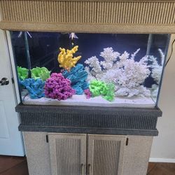 75 Gallon Aquarium 