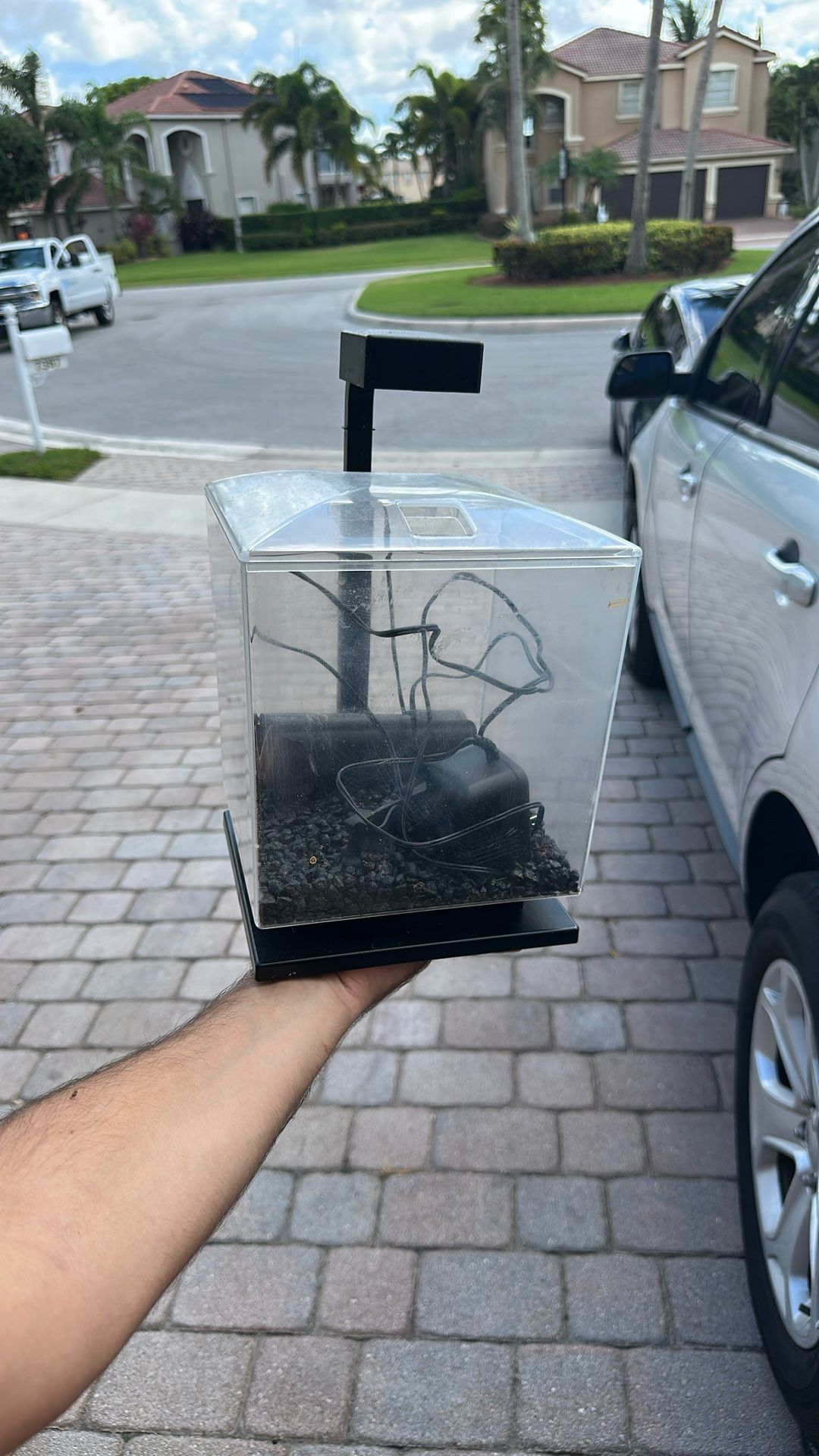 Fish Tank