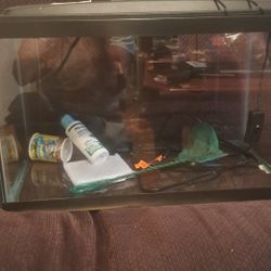 10 Gallon Fish Tank With everything You See 65$