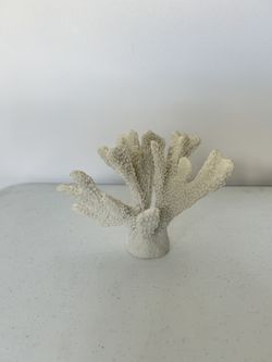 White Coral Decor 