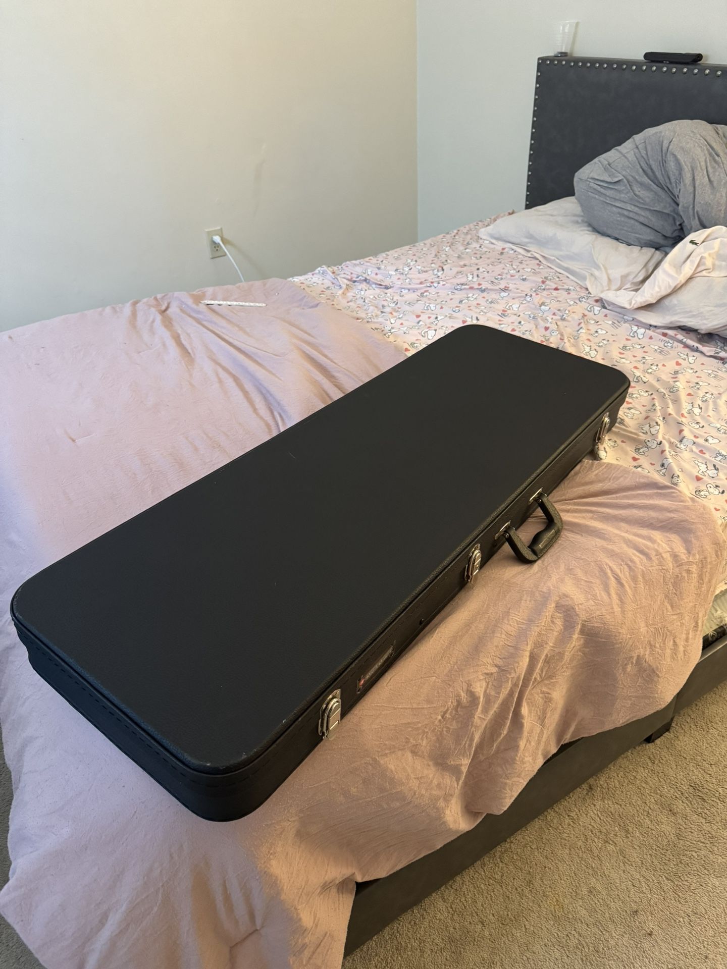 Road Runner Guitar Case