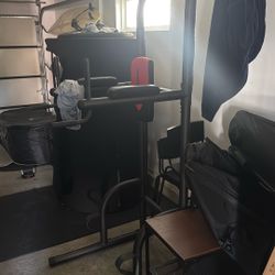 Power Tower Pull Up, Dip And Leg Lift Station