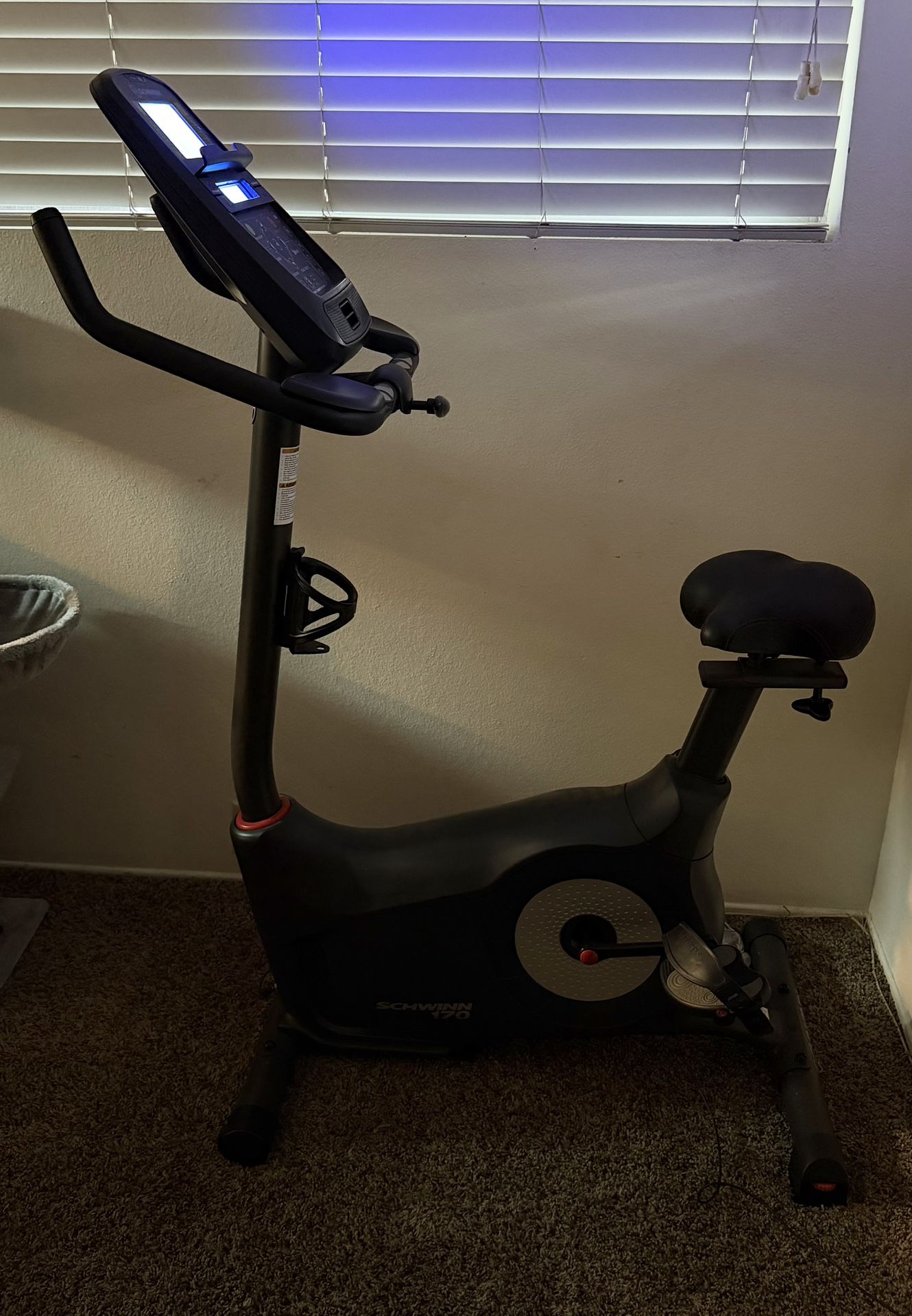 Schwinn Exercise Bike