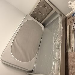 Tree pieces twins bet set