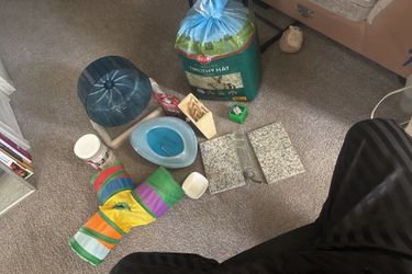 Chinchilla accessories 