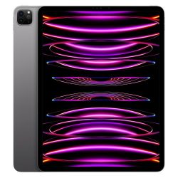 Apple iPad Pro 12.9-inch 6th Generation Grey 