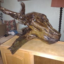 Decorative Drift Wood