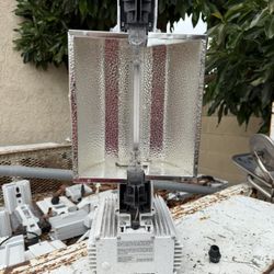 Gavita Pro 1000