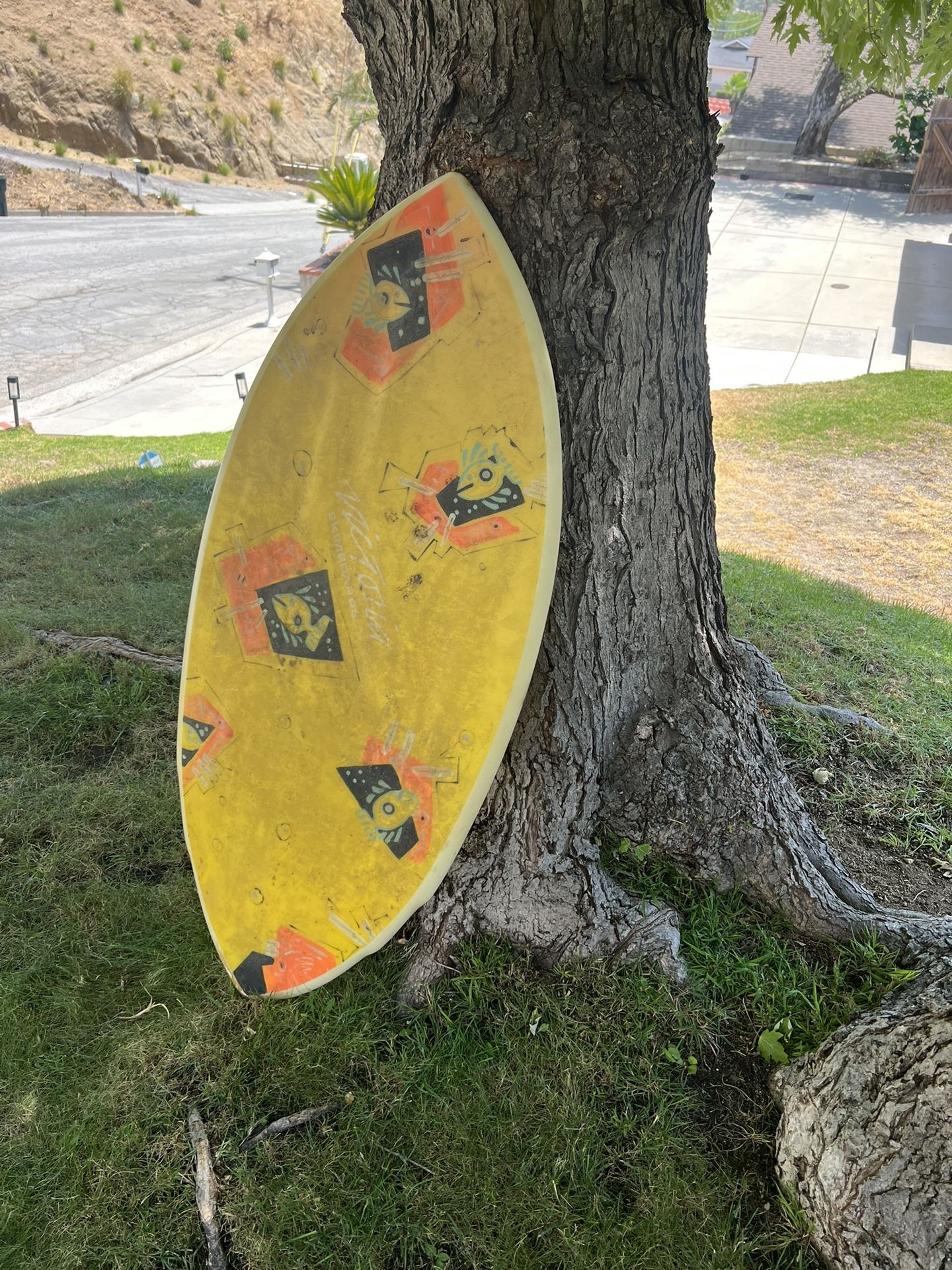 Victoria Skimboard (Classic Design, Great Condition)
