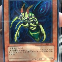 Ultimate Rare Perfectly Ultimate Great Moth