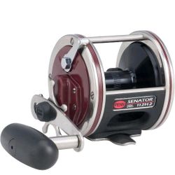 Penn Special Senator Drag Conventional Fishing Reel in the Box  - 112H2