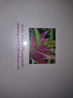 Blank greeting cards - original photography