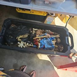 Halloween DECORATIONS