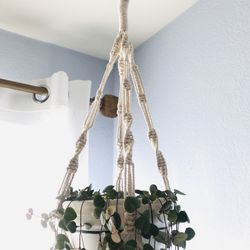 Natural Cotton, Biodegradable, Cream Macrame Plant Hanger