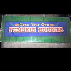 Pumpkin Buddy Kit