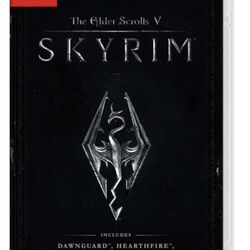 Nintendo switch game Skyrim