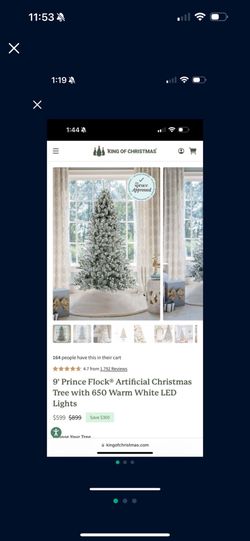 King Of Christmas’s tree