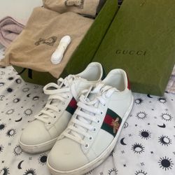 Gucci Sneaker 
