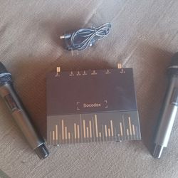 Professional wireless microphone