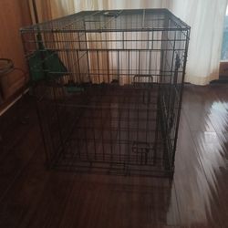 Dog kennel