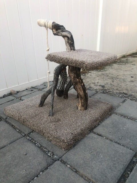 Cat Stand/ Scratching Post