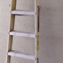 8 Foot Ladder 