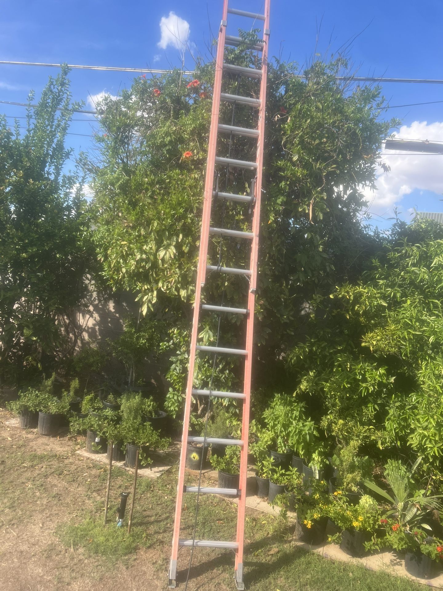 Louisville fiberglass Extension Ladder Cp 300 lbs condition $150