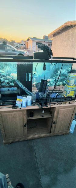 🌑🐟🐟🐟FRESH WATER FISH TANK W/ALL THE BELLS AND WHISTLES 🐟🐟🐟🌑