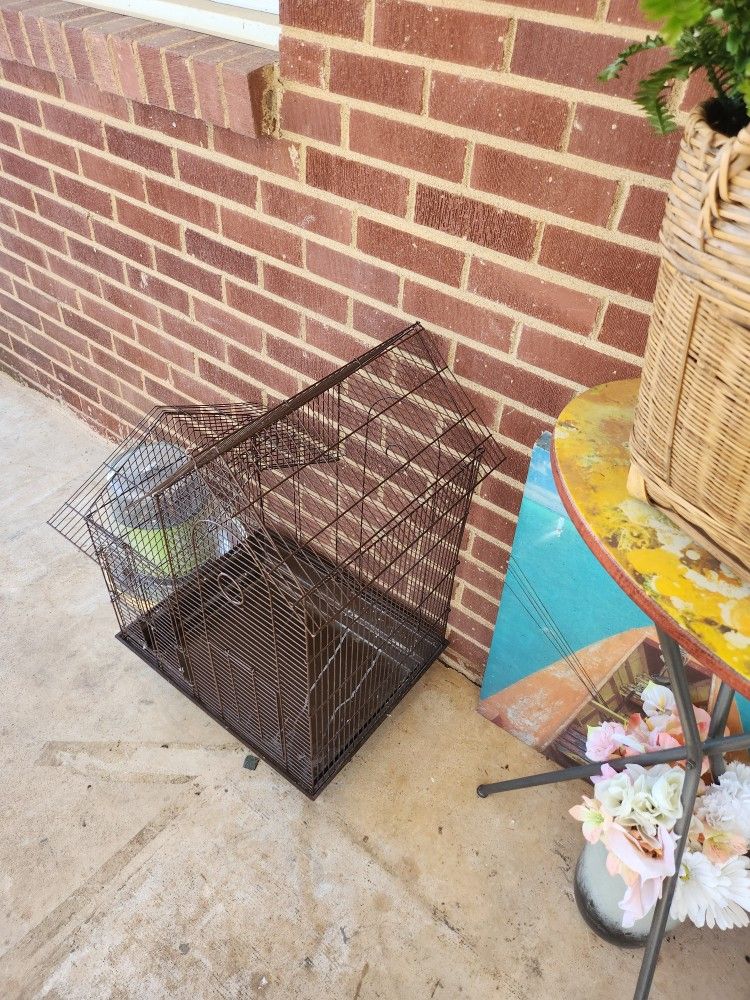 Bird Cage
