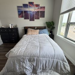 Sealy Bed + ANCTOR Full Bed Frame