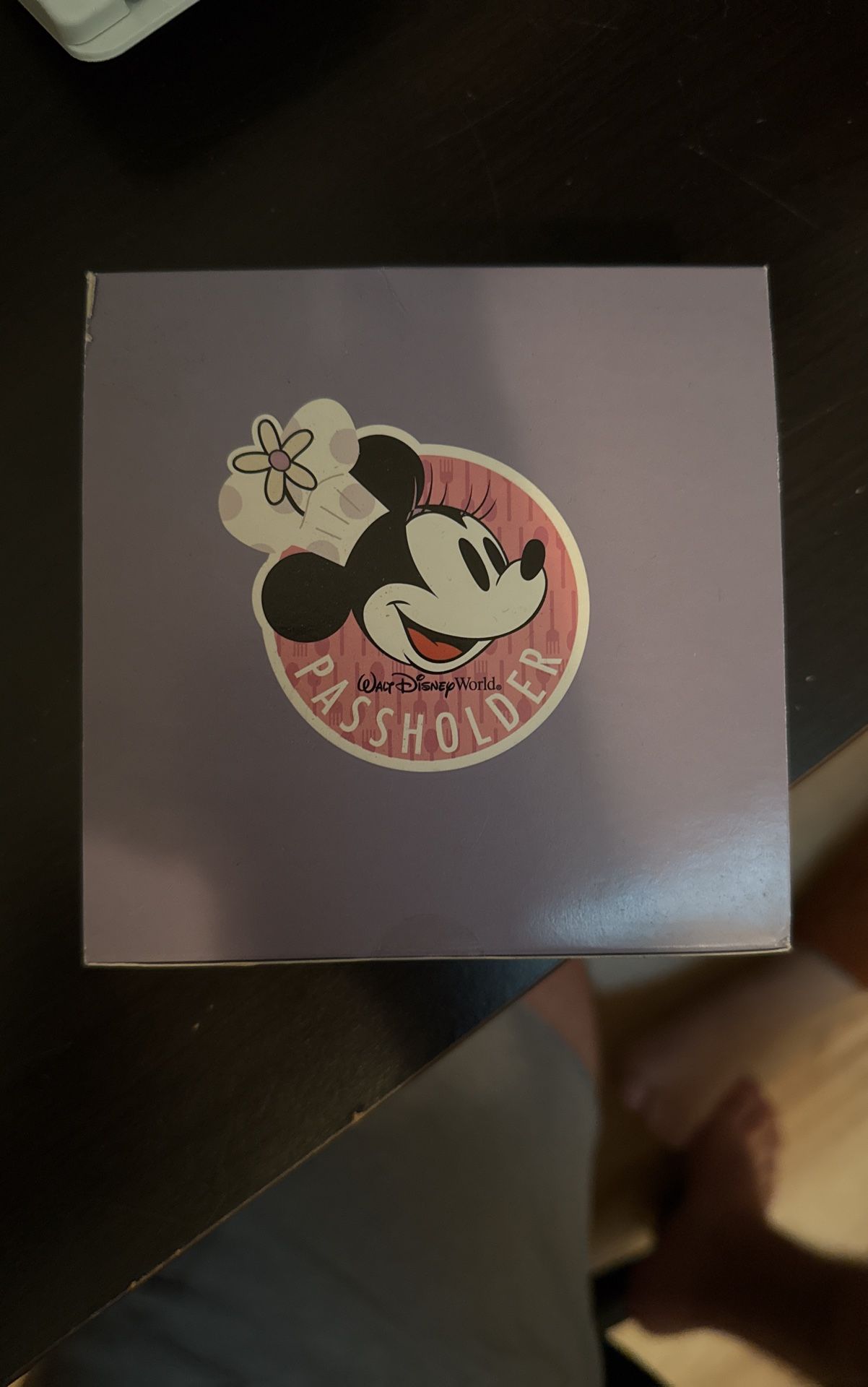 Disney Annual Passholder Coasters