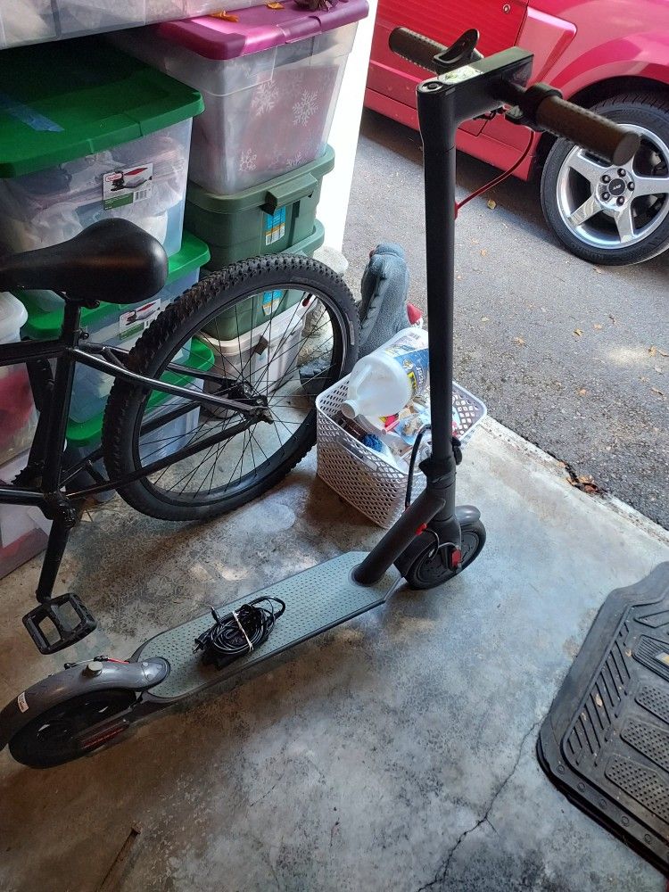 Electric Scooter 